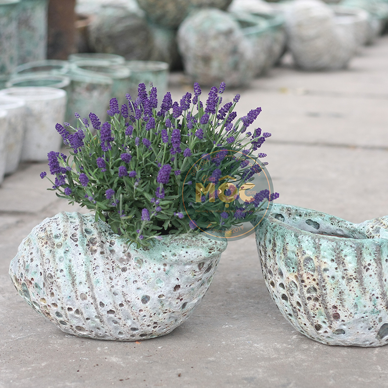 3107 Atlantic Ốc Hương 33x25x17 M20