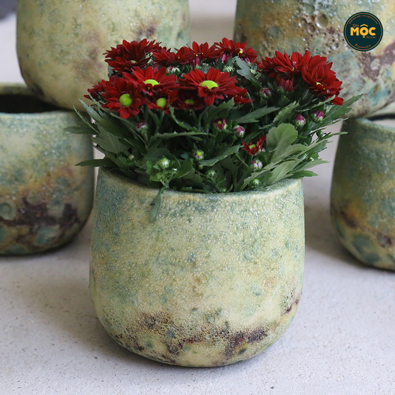 3538 Atlantic Bầu 15x15x13 M14