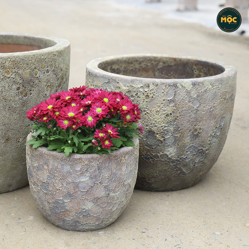 3591 Atlantic Trứng 24x24x19