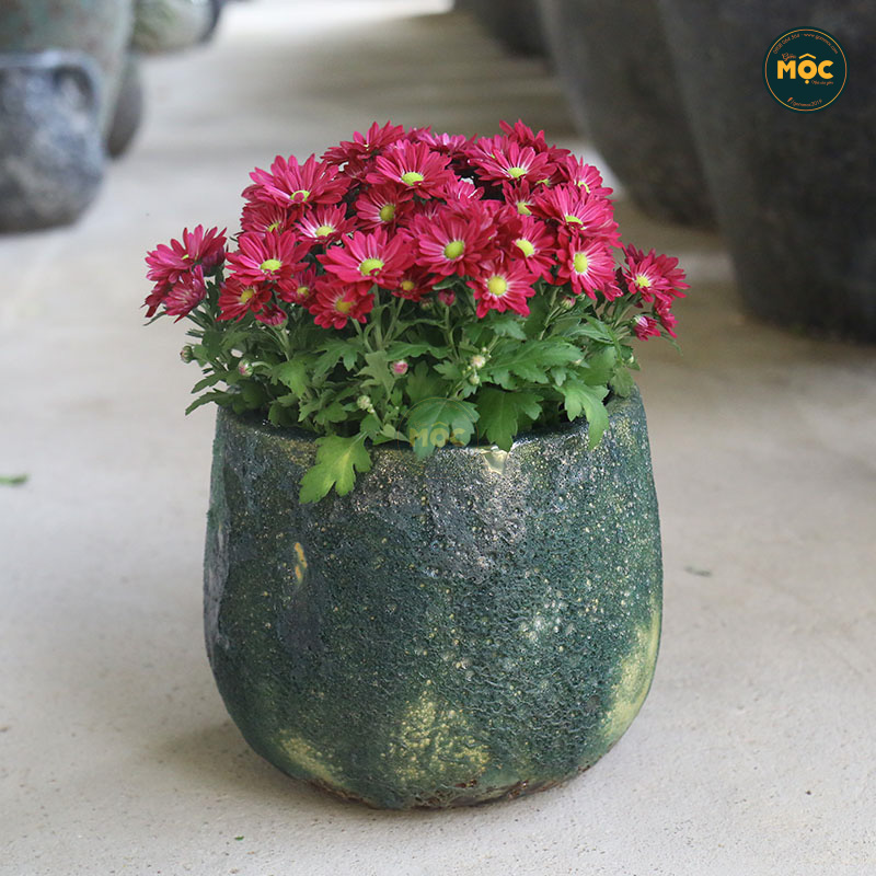 3538 Atlantic Bầu 23x23x19 M20