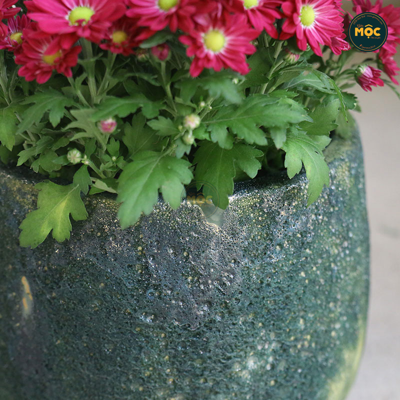 3538 Atlantic Bầu 23x23x19 M20