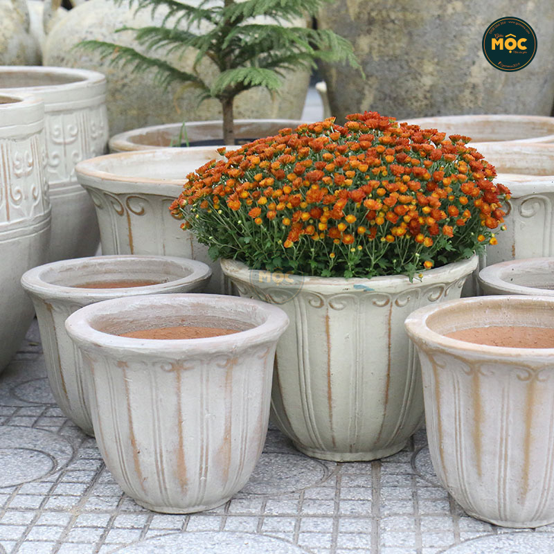 Men Mộc | 3872 Hoa Tulip Thấp 52x52x40