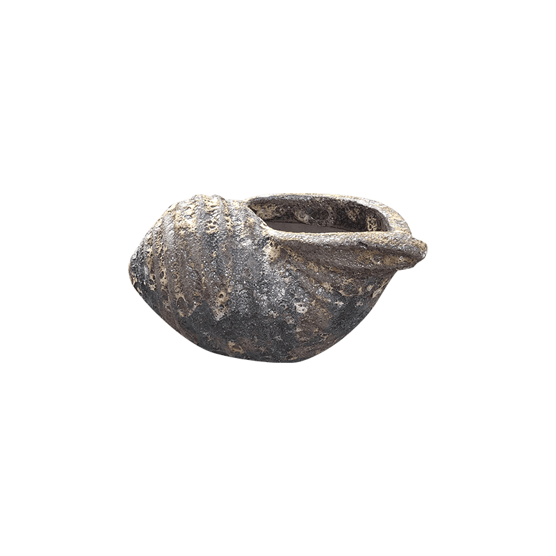 3107 Atlantic Ốc Hương 33x25x17 M20