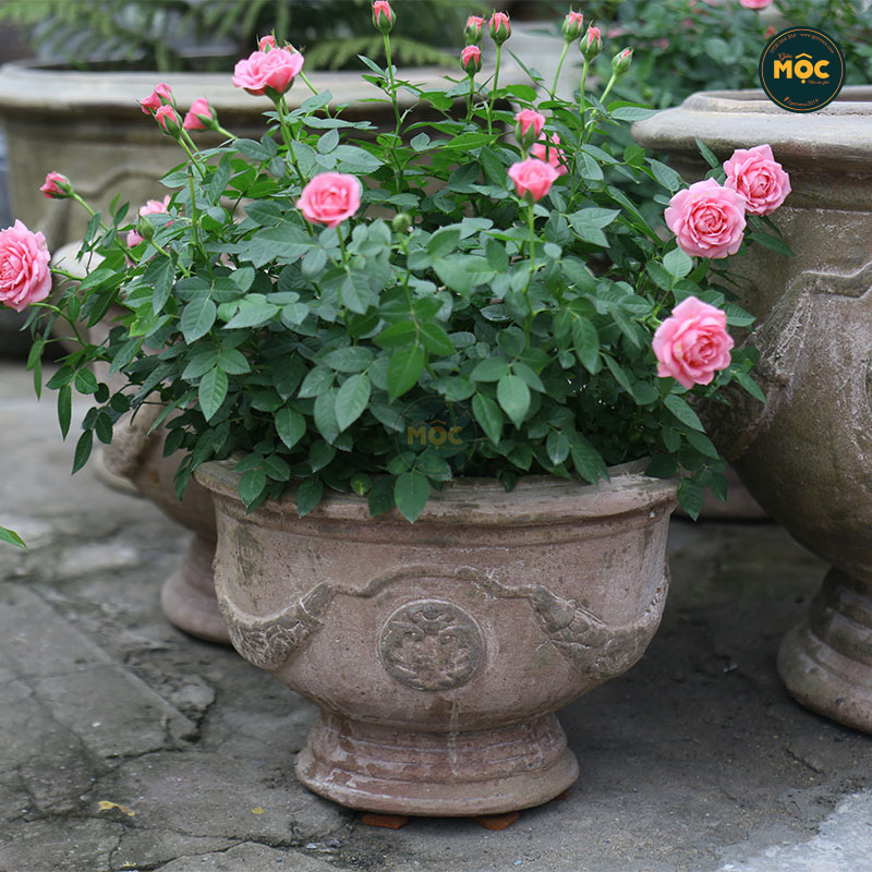 4034 Men Mỹ Thuật Ly Cúp Cổ Điển 38x38x26