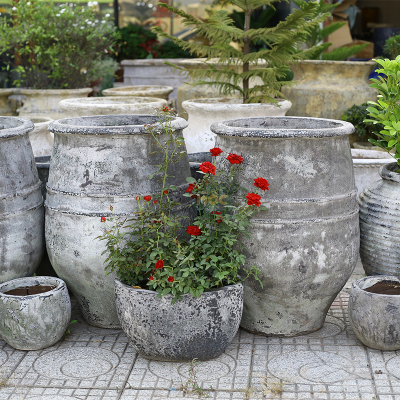 4089 Men Mỹ Thuật Tulip 2 Sọc Ngang 60x60x80 M54